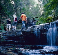 South Lawson Waterfall Circuit