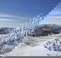 Rock Creek snowshoe track - Maitland Accommodation