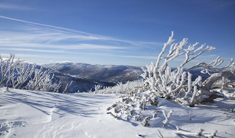 Rock Creek Snowshoe Track - Maitland Accommodation 0