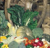 Mulgowie Real Farmers Markets - Maitland Accommodation