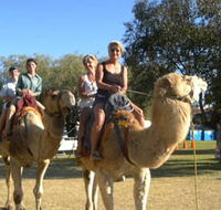 Calamunnda Camel Farm  - Maitland Accommodation