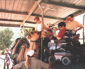 Calamunnda Camel Farm  - Maitland Accommodation 3