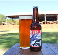 Feral Brewing Company - Maitland Accommodation