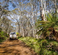 Barrington trail - Maitland Accommodation