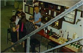 John Kosovich Wines - Maitland Accommodation 1