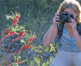 Kalamunda National Park - Maitland Accommodation 1