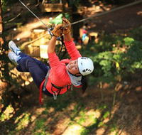 Trees Adventure Grose River Park - Maitland Accommodation