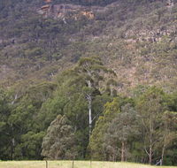Bangadilly National Park - Maitland Accommodation