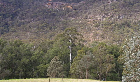 Bangadilly National Park - Maitland Accommodation 0