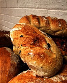 Bakehouse On Park - Maitland Accommodation 3