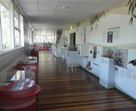 Kanyana Wildlife Rehabilitation Centre - Maitland Accommodation 1