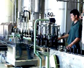 Sun Masamune Sake Brewery - Maitland Accommodation 2