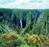 Wollomombi Falls - Maitland Accommodation