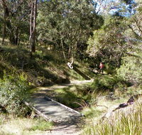 Wollomombi walking track - Maitland Accommodation