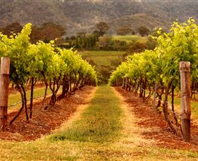 Hunter Valley Wine School - Maitland Accommodation 1