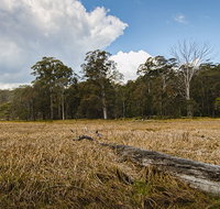 Mummel Gulf National Park - Maitland Accommodation