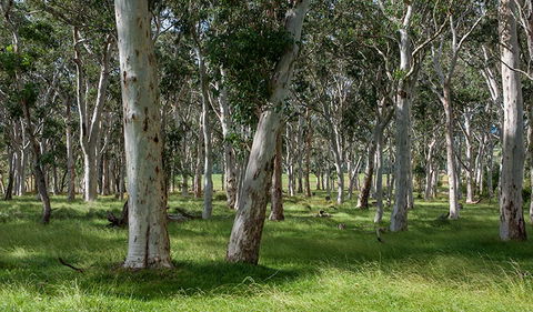 Coast To The Highlands Scenic Drive â€“ Kangaroo Valley - Maitland Accommodation 1