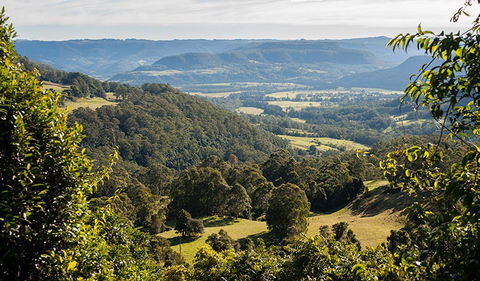 Coast To The Highlands Scenic Drive â€“ Kangaroo Valley - Maitland Accommodation 3
