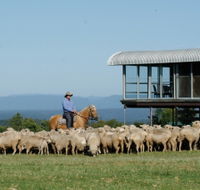 Tobruk Sydney - Maitland Accommodation