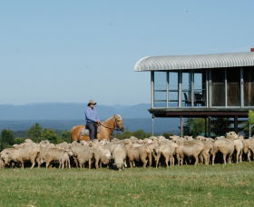 Tobruk Sydney - Maitland Accommodation 0