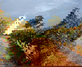 Bimbadgen Winery - Maitland Accommodation 0