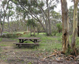 Box Vale Picnic Area - Maitland Accommodation 2