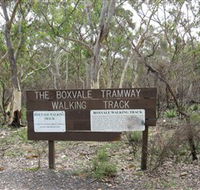 Box Vale Picnic Area - Maitland Accommodation
