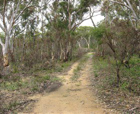 Box Vale Picnic Area - Maitland Accommodation 4