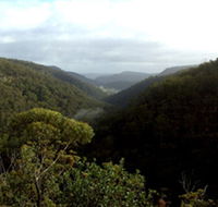 Nattai Gorge Lookout - Maitland Accommodation