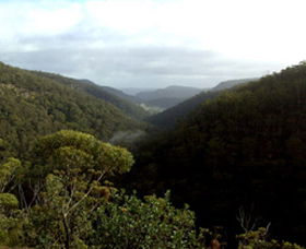 Nattai Gorge Lookout - Maitland Accommodation 0