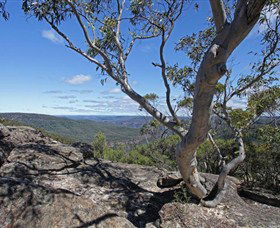 Nattai Gorge Lookout - Maitland Accommodation 1