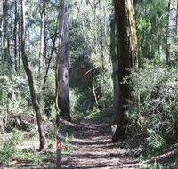 Box Vale Mine Walking Track and Lookout - Maitland Accommodation