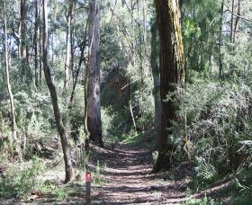 Box Vale Mine Walking Track And Lookout - Maitland Accommodation 0
