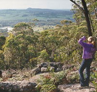 Gibbergunyah Reserve - Maitland Accommodation