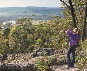 Gibbergunyah Reserve - Maitland Accommodation 0