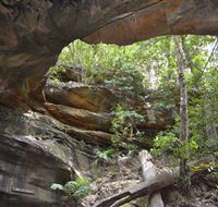Cave Creek Walking Track - Maitland Accommodation