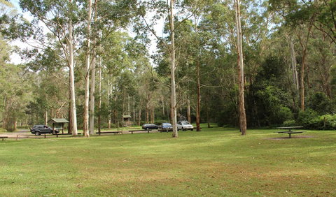 Mill Creek Picnic Area - Maitland Accommodation 0