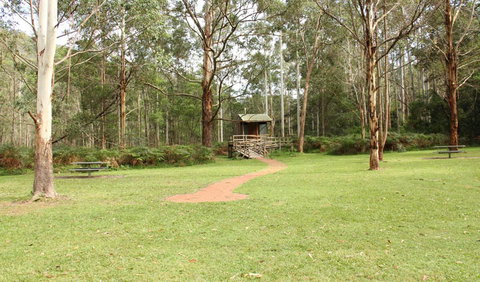 Mill Creek Picnic Area - Maitland Accommodation 2