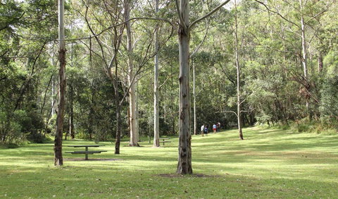 Mill Creek Picnic Area - Maitland Accommodation 3