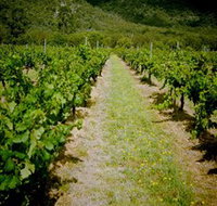 Gartelmann Wines - Maitland Accommodation
