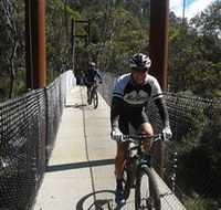 McGees Cycling Store - Maitland Accommodation
