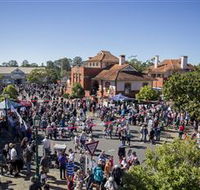 Excelsior Band Hall - Maitland Accommodation