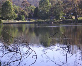 Lake Alexandra Reserve - Maitland Accommodation 2