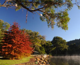 Lake Alexandra Reserve - Maitland Accommodation 1
