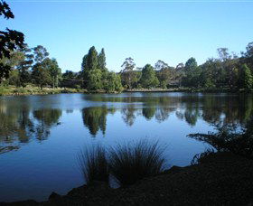 Lake Alexandra Reserve - Maitland Accommodation 3