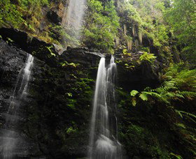 Fairy Bower Falls - Maitland Accommodation 1
