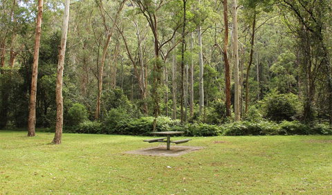 Dharug National Park - Maitland Accommodation 3