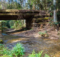 Myrtle Scrub scenic drive - Maitland Accommodation