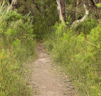 Three Views walking track - Maitland Accommodation