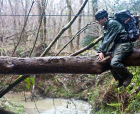 Bear Grylls Survival Academy - Maitland Accommodation 5